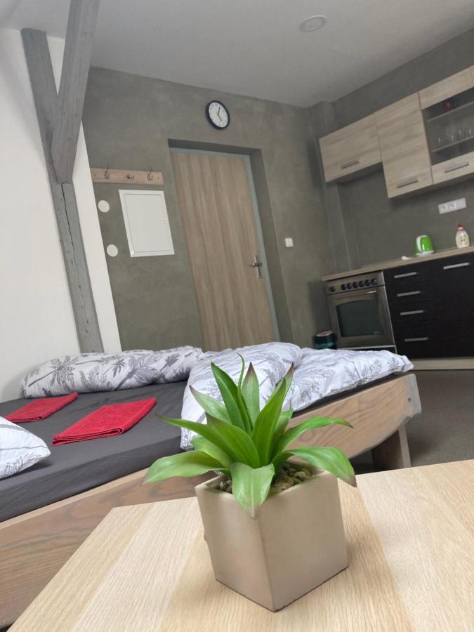 Apartmany V Raji Zdar  Екстер'єр фото